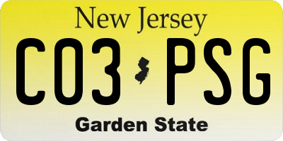 NJ license plate C03PSG