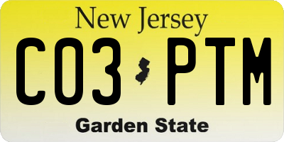 NJ license plate C03PTM