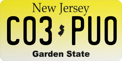 NJ license plate C03PUO