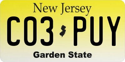 NJ license plate C03PUY