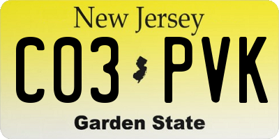 NJ license plate C03PVK
