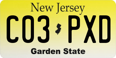 NJ license plate C03PXD
