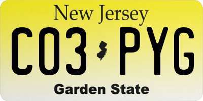 NJ license plate C03PYG