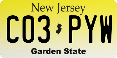 NJ license plate C03PYW