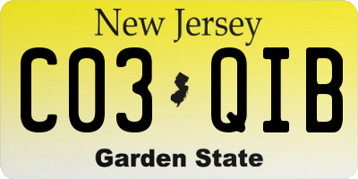 NJ license plate C03QIB