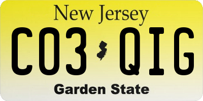 NJ license plate C03QIG