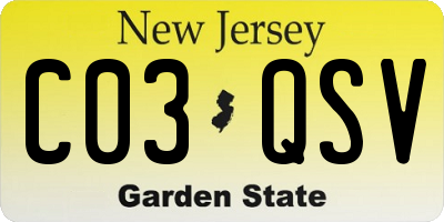 NJ license plate C03QSV