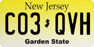 NJ license plate C03QVH