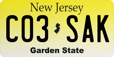 NJ license plate C03SAK
