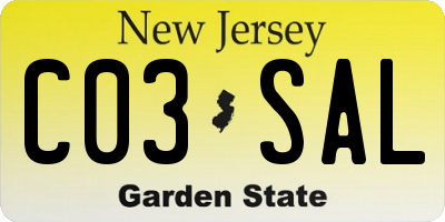NJ license plate C03SAL