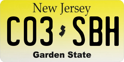 NJ license plate C03SBH