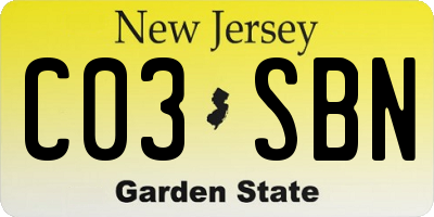 NJ license plate C03SBN