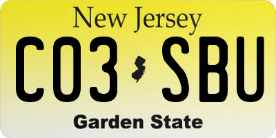 NJ license plate C03SBU