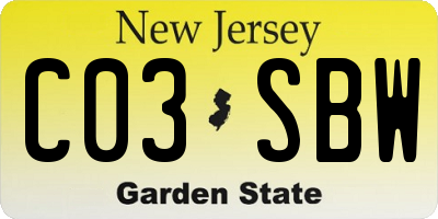 NJ license plate C03SBW