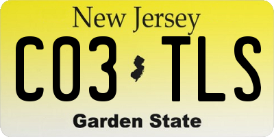 NJ license plate C03TLS