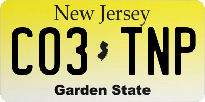 NJ license plate C03TNP