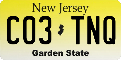 NJ license plate C03TNQ