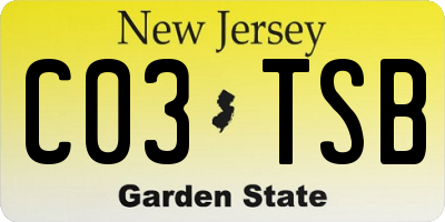 NJ license plate C03TSB