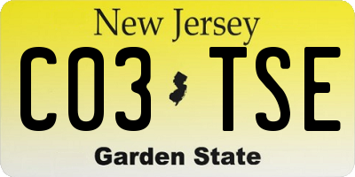 NJ license plate C03TSE