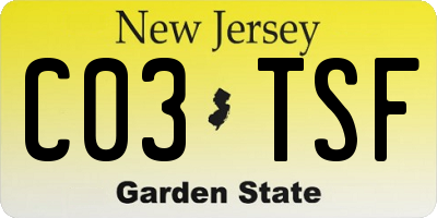 NJ license plate C03TSF