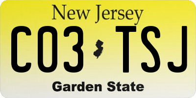 NJ license plate C03TSJ
