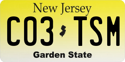 NJ license plate C03TSM