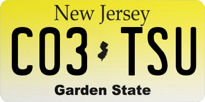 NJ license plate C03TSU