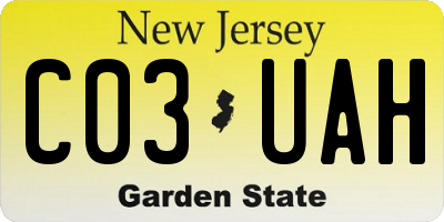 NJ license plate C03UAH