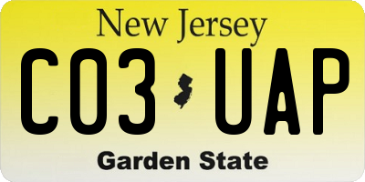 NJ license plate C03UAP