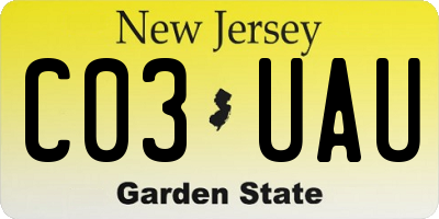NJ license plate C03UAU