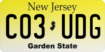 NJ license plate C03UDG
