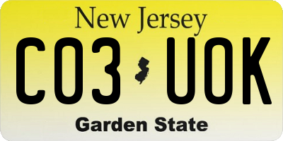 NJ license plate C03UOK