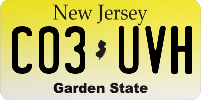 NJ license plate C03UVH