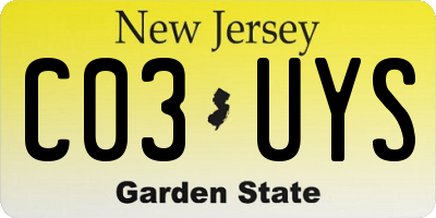 NJ license plate C03UYS