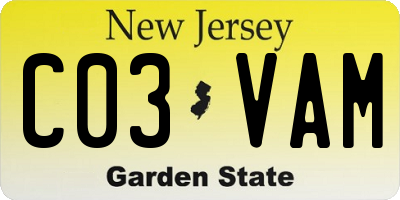 NJ license plate C03VAM