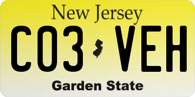 NJ license plate C03VEH