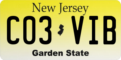 NJ license plate C03VIB