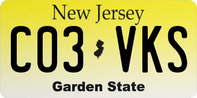 NJ license plate C03VKS