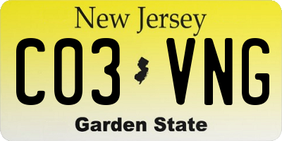 NJ license plate C03VNG