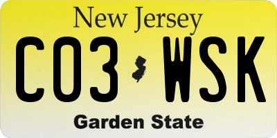 NJ license plate C03WSK