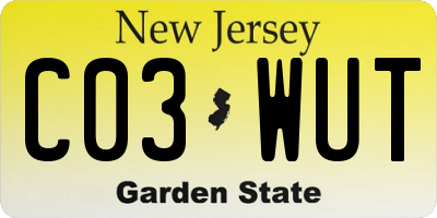 NJ license plate C03WUT