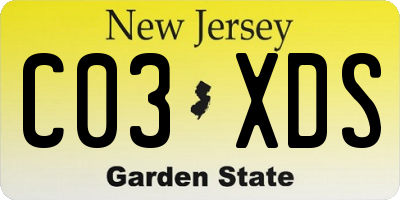 NJ license plate C03XDS