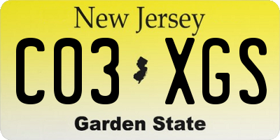 NJ license plate C03XGS