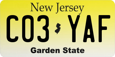NJ license plate C03YAF