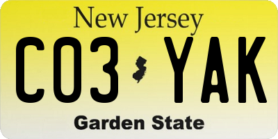 NJ license plate C03YAK