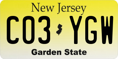 NJ license plate C03YGW