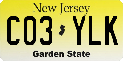 NJ license plate C03YLK