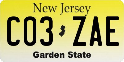 NJ license plate C03ZAE