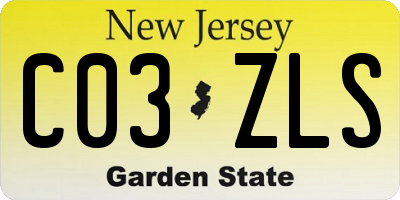 NJ license plate C03ZLS