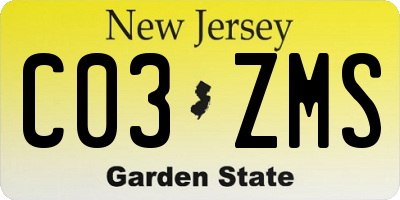 NJ license plate C03ZMS